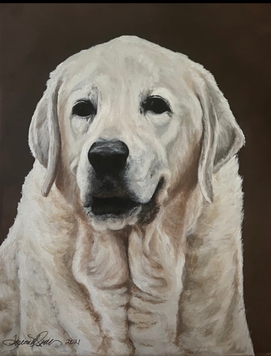 Pet Portrait