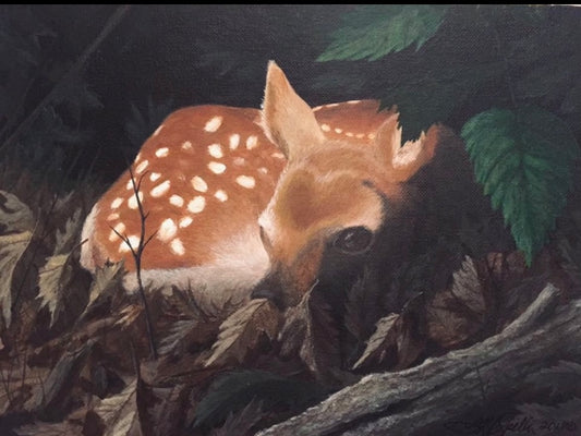 "Fawn" 8"x10" Print