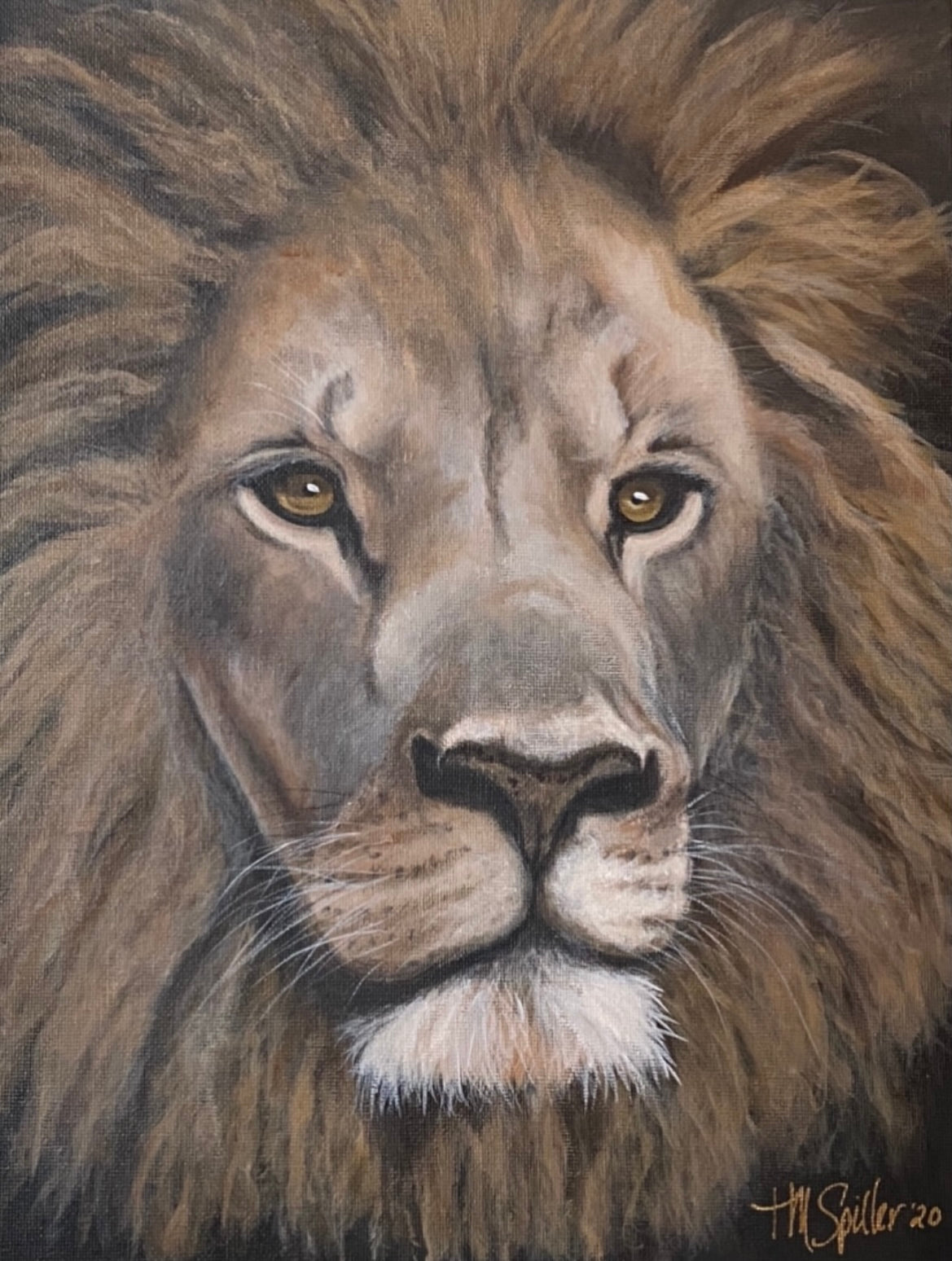 "Lion of Judah" 11"x14" Print