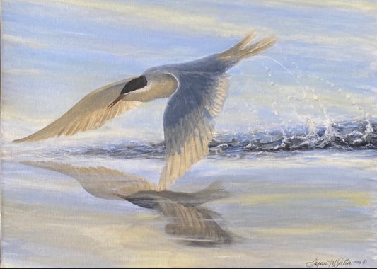 "Tern Fishing" 16"x20" Original